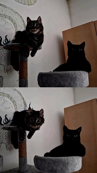 aekamee aekamee archive video