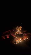 _broock_ Altpins Profile Picture