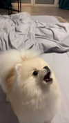 imshigh_ Altpins Profile Picture