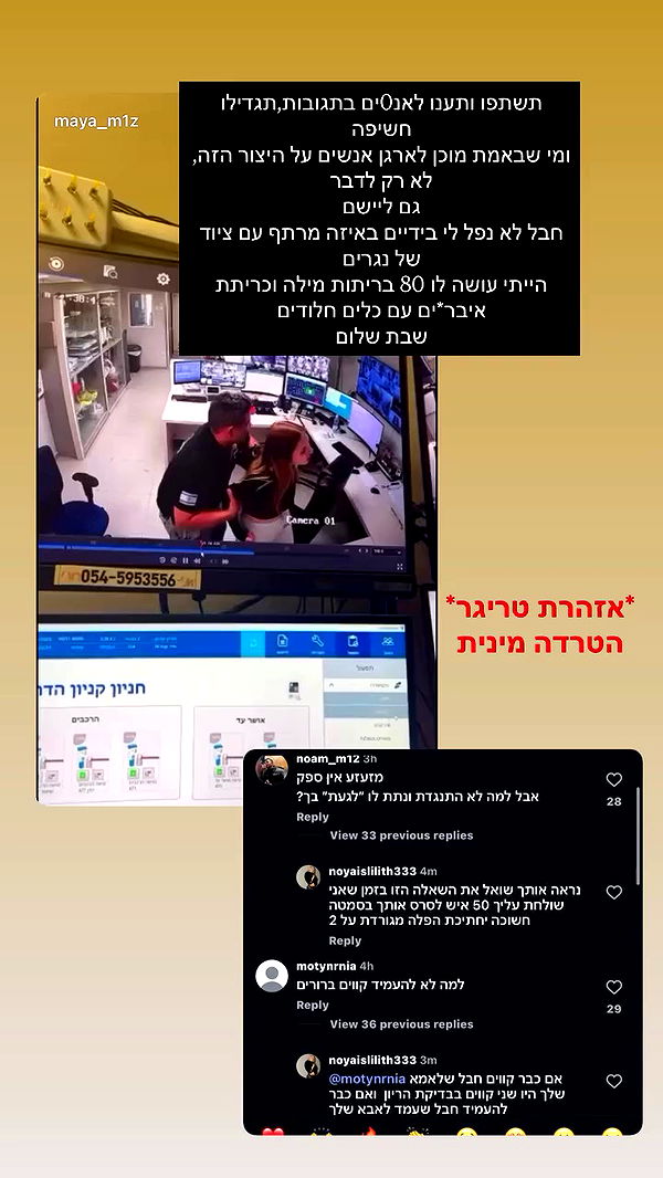 noyaislilith333 archive video preview