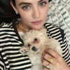 lucyhale Altpins Profile Picture