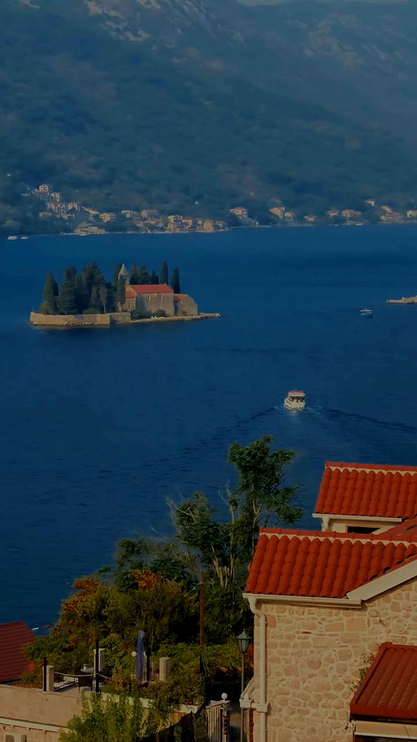 talia_davidov archive video preview