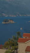talia_davidov Altpins Profile Picture