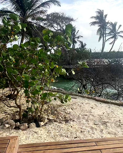 taylor.creeden taylor.creeden archive video