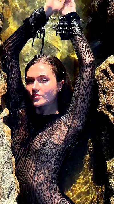 taylor.creeden taylor.creeden archive video