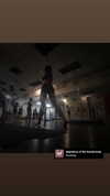 shayli_or Altpins Profile Picture