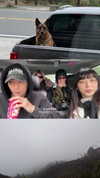 badthingalwaysg Altpins Profile Picture