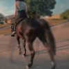 forestowwwl Altpins Profile Picture