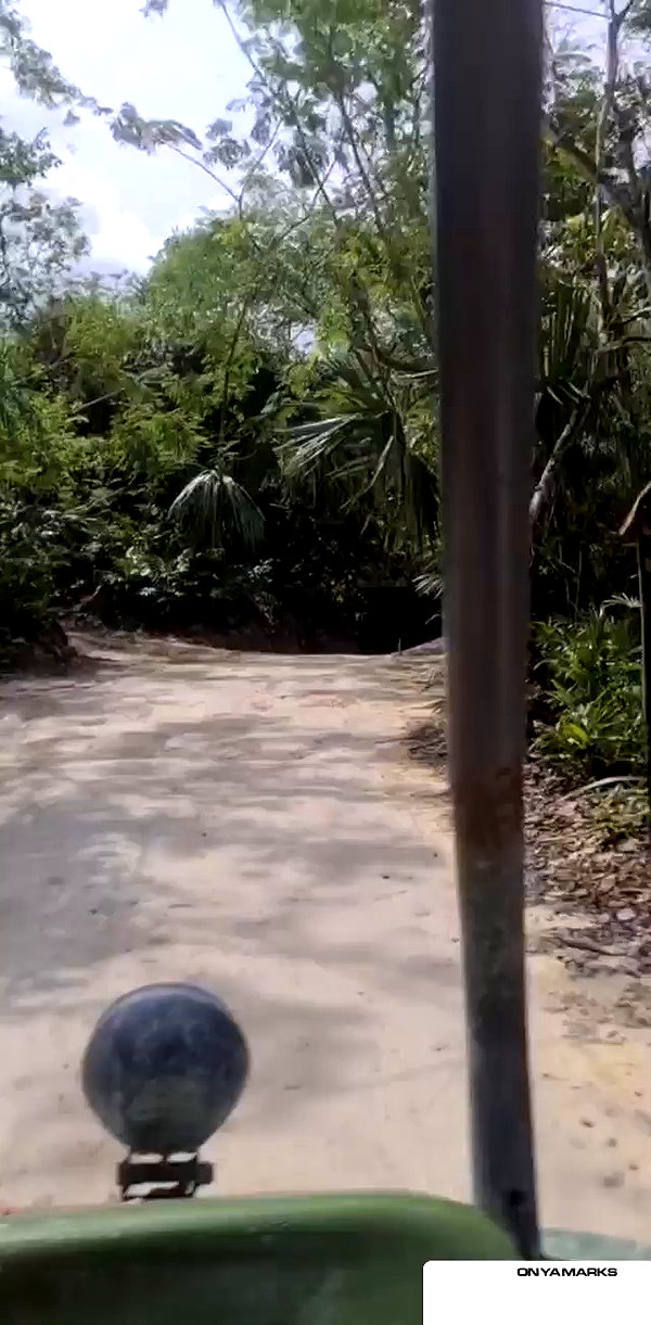 ruth_chavarri archive video preview
