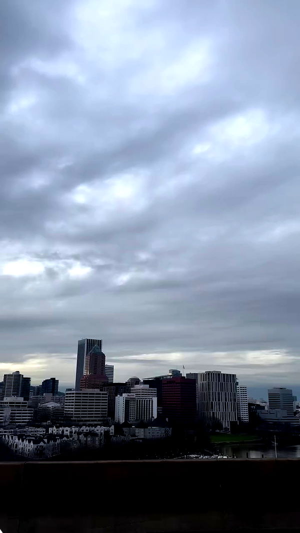 zommmbri archive video preview