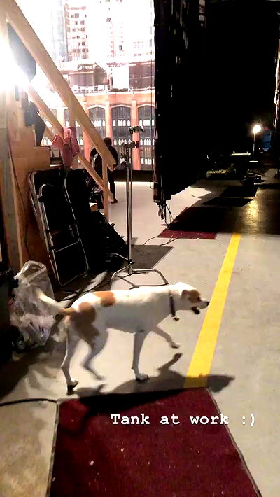 sydney_sweeney sydney_sweeney archive video