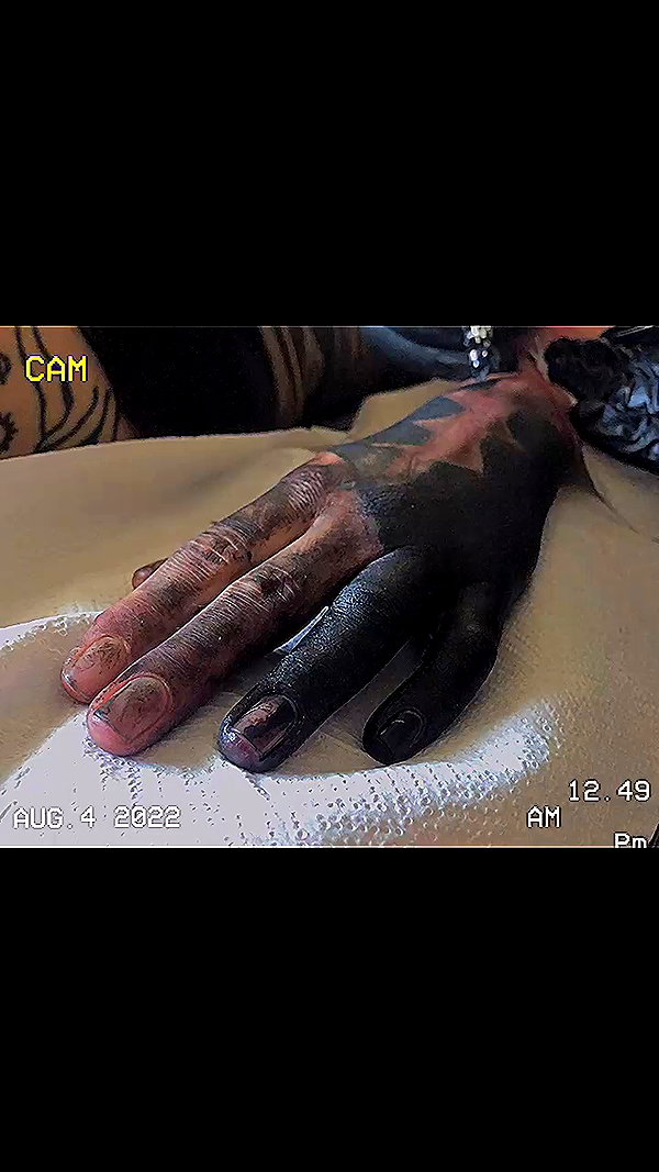 venecatattoo archive video preview