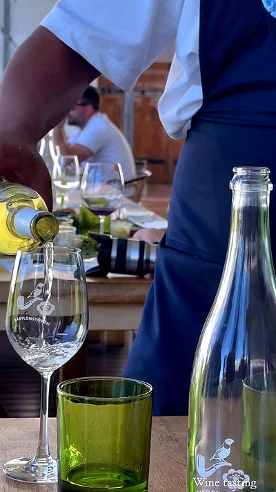 taylor.creeden taylor.creeden archive video