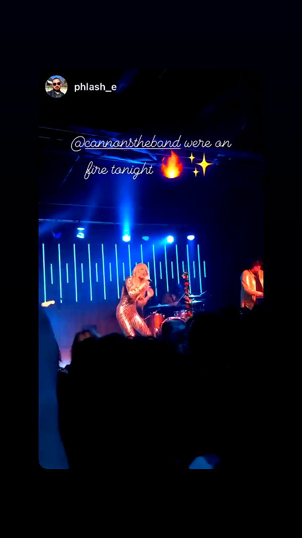 cannonstheband archive video preview