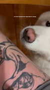 kriskaik Altpins Profile Picture