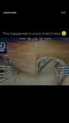tinapavlov.sky Altpins Profile Picture