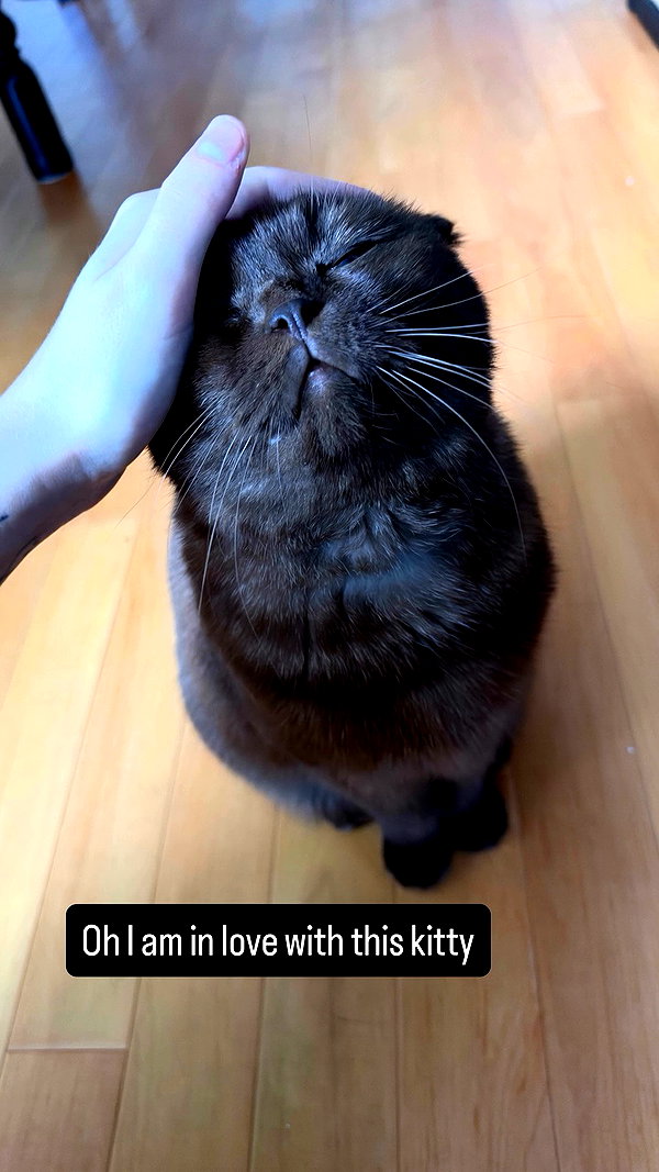 alice_hez archive video preview