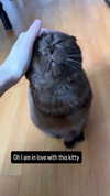 alice_hez Altpins Profile Picture