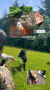 jahia_brown Altpins Profile Picture