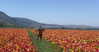 libby_reut Altpins Profile Picture