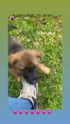 evasela__ Altpins Profile Picture