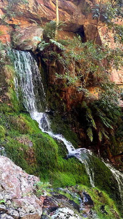 taylor.creeden taylor.creeden archive video