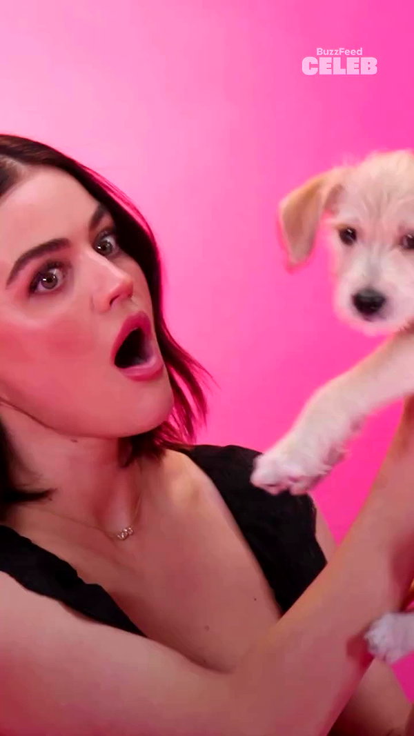buzzfeedceleb archive video preview