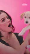 buzzfeedceleb Altpins Profile Picture