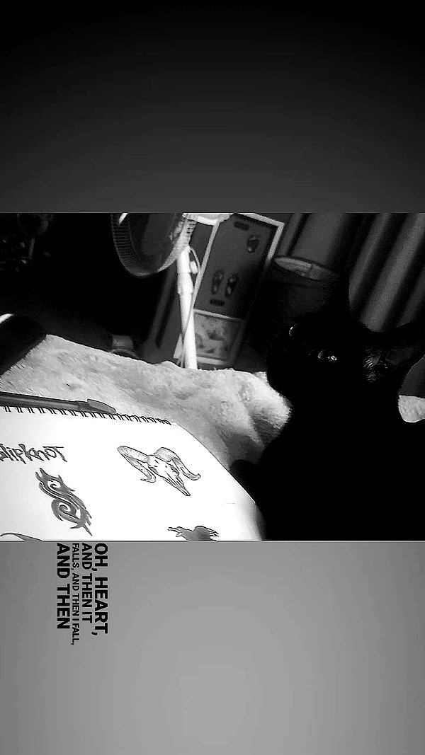 ayliehayward archive video preview