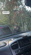 ilana.21 Altpins Profile Picture