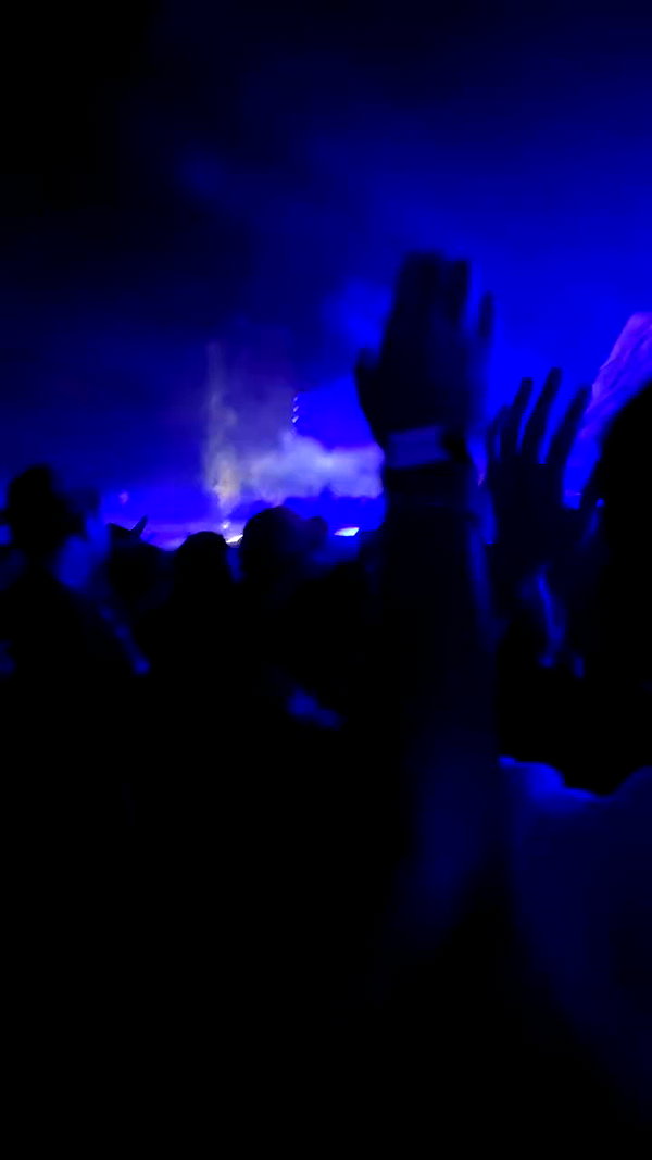 michalcohen___ archive video preview