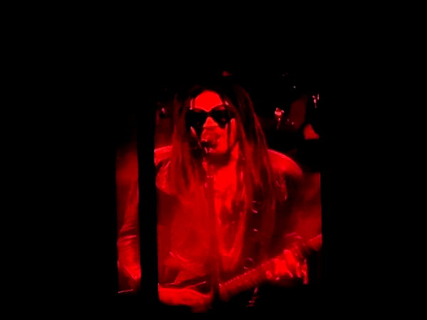 indenavarrette archive video preview