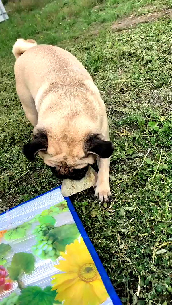 nyityam archive video preview