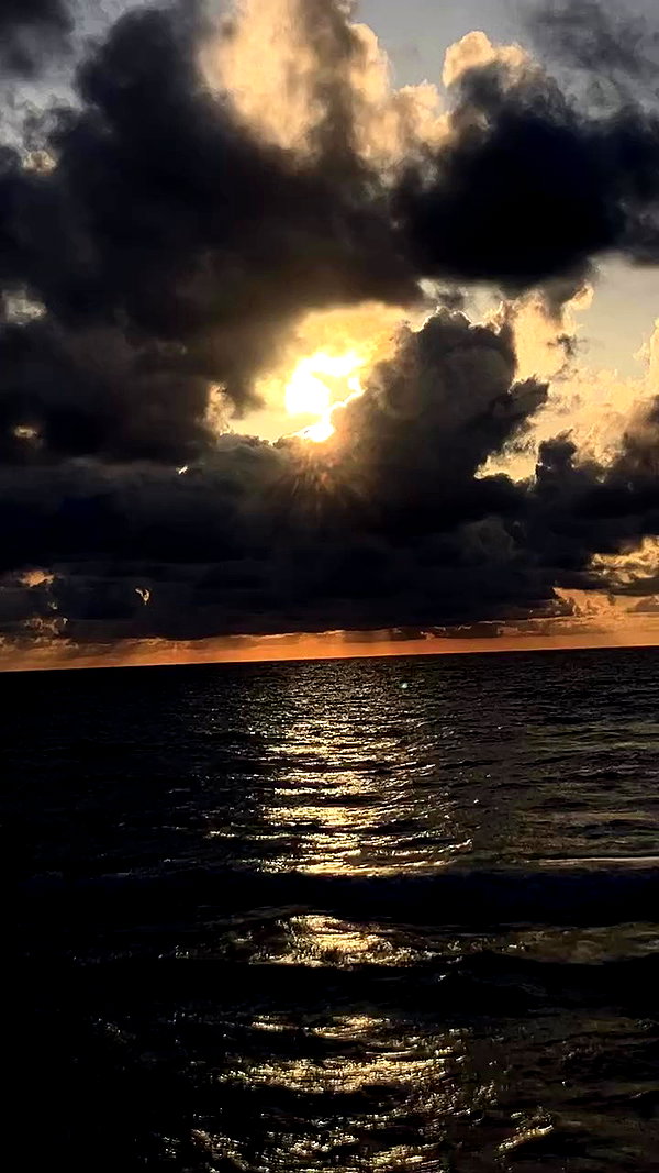 elianachetrit archive video preview