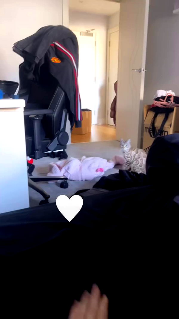 h0llyannabel archive video preview