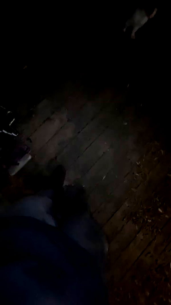 eitan.420 archive video preview