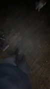 eitan.420 Altpins Profile Picture