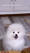 elsgatti Altpins Profile Picture