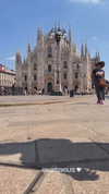 tirtza_cohen Altpins Profile Picture