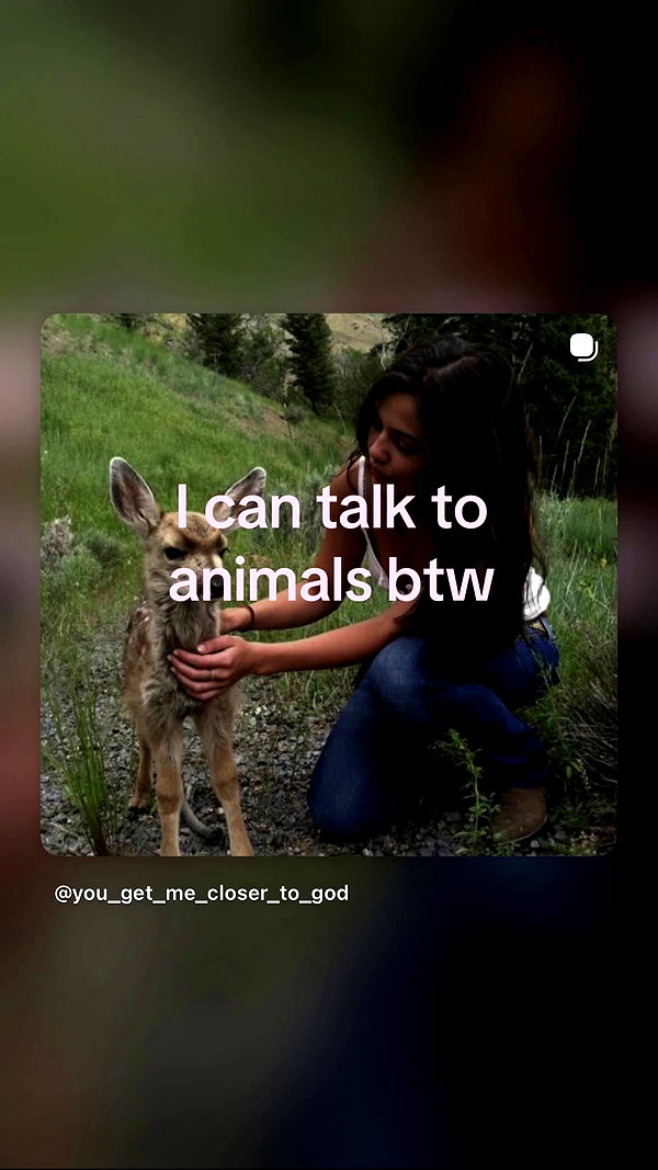 feelbetterinmysweater archive video preview