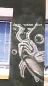 lior_levrun Altpins Profile Picture