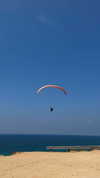 alisa.paigin Altpins Profile Picture