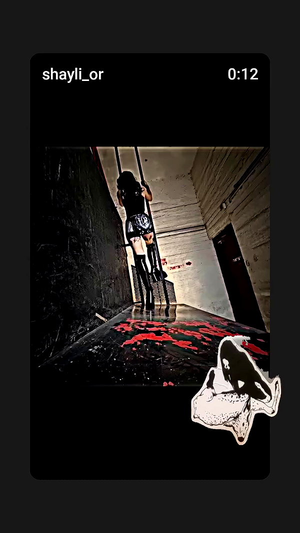 shayli_or archive video preview