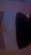 sophiagiannamore Altpins Profile Picture