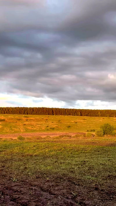 nyityam nyityam archive video