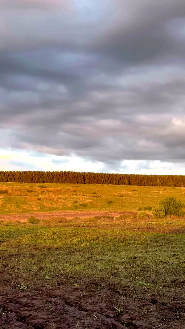 nyityam archive video preview