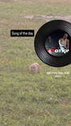 zz.eazoning Altpins Profile Picture