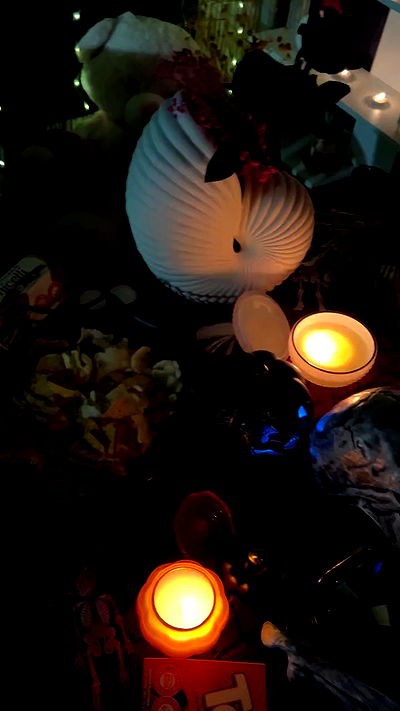 1justsabi 1justsabi archive video