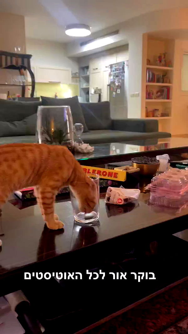 yannaidebeer archive video preview