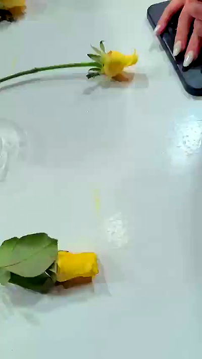 gwendolynceline gwendolynceline archive video